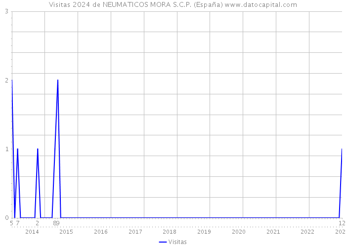 Visitas 2024 de NEUMATICOS MORA S.C.P. (España) 