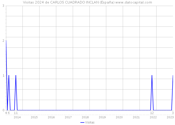 Visitas 2024 de CARLOS CUADRADO INCLAN (España) 
