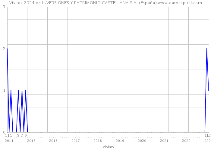 Visitas 2024 de INVERSIONES Y PATRIMONIO CASTELLANA S.A. (España) 