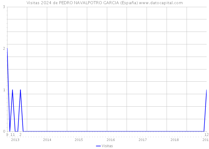 Visitas 2024 de PEDRO NAVALPOTRO GARCIA (España) 