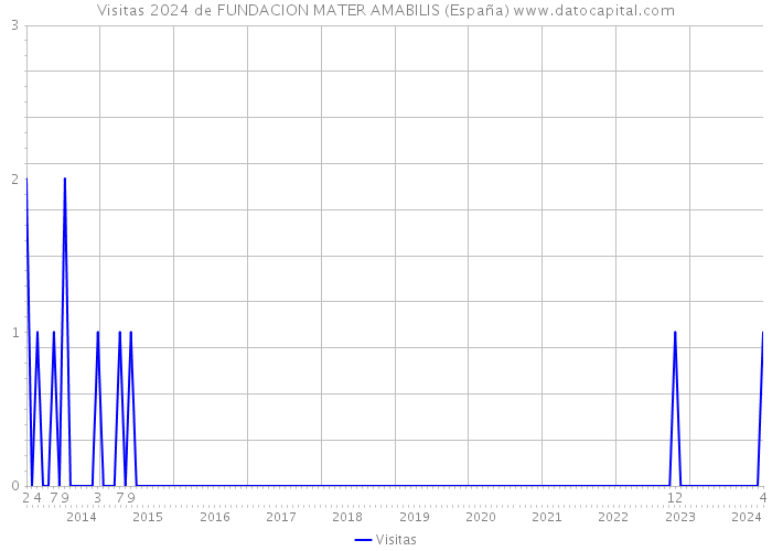 Visitas 2024 de FUNDACION MATER AMABILIS (España) 