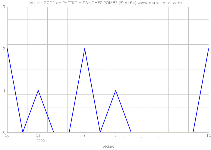 Visitas 2024 de PATRICIA SANCHEZ POMES (España) 