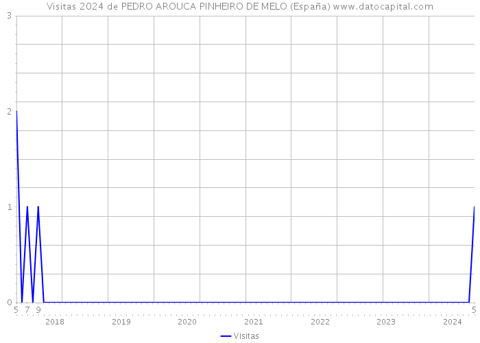 Visitas 2024 de PEDRO AROUCA PINHEIRO DE MELO (España) 