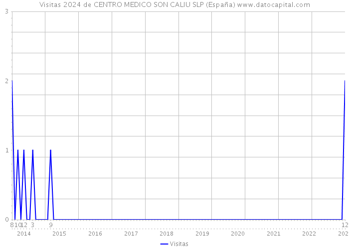 Visitas 2024 de CENTRO MEDICO SON CALIU SLP (España) 