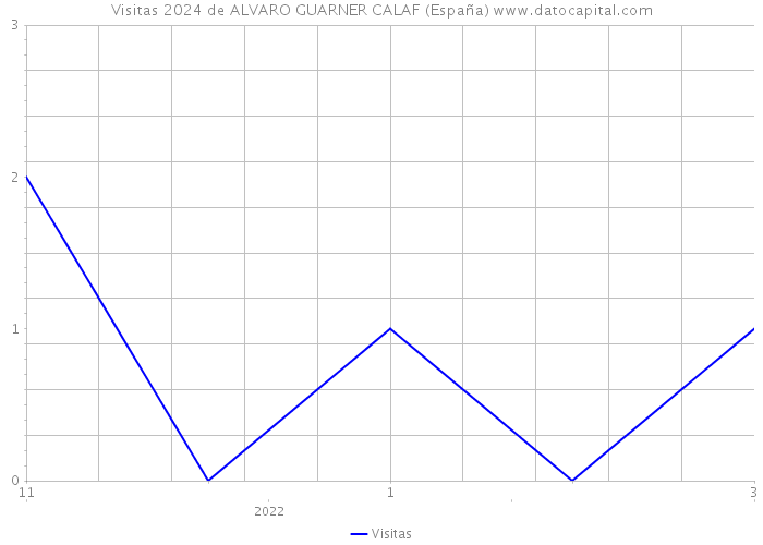 Visitas 2024 de ALVARO GUARNER CALAF (España) 