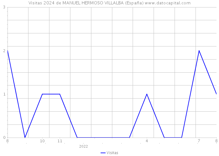 Visitas 2024 de MANUEL HERMOSO VILLALBA (España) 