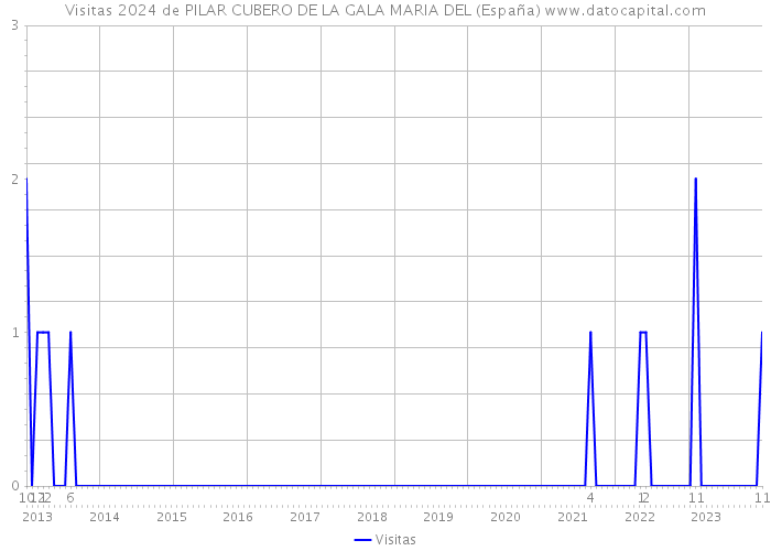 Visitas 2024 de PILAR CUBERO DE LA GALA MARIA DEL (España) 