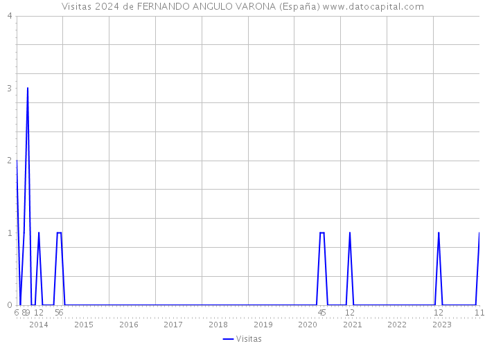 Visitas 2024 de FERNANDO ANGULO VARONA (España) 