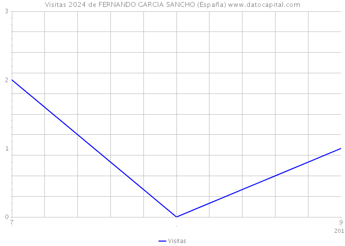 Visitas 2024 de FERNANDO GARCIA SANCHO (España) 