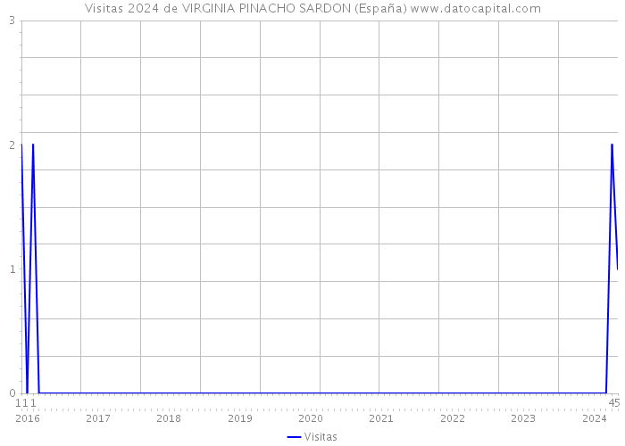 Visitas 2024 de VIRGINIA PINACHO SARDON (España) 