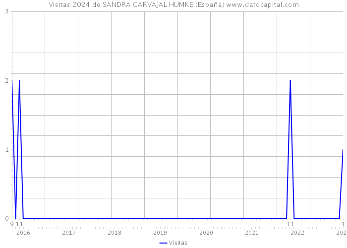 Visitas 2024 de SANDRA CARVAJAL HUMKE (España) 