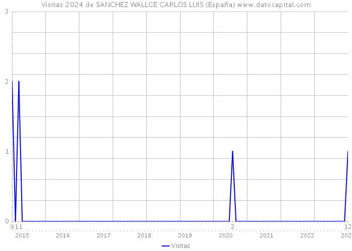 Visitas 2024 de SANCHEZ WALLCE CARLOS LUIS (España) 