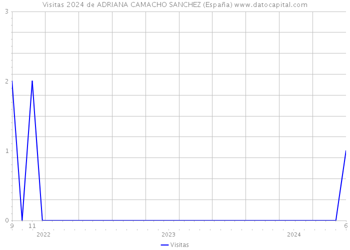 Visitas 2024 de ADRIANA CAMACHO SANCHEZ (España) 