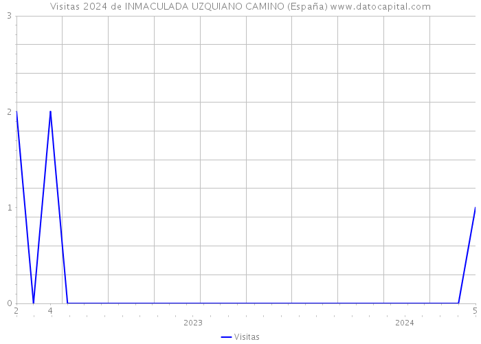 Visitas 2024 de INMACULADA UZQUIANO CAMINO (España) 