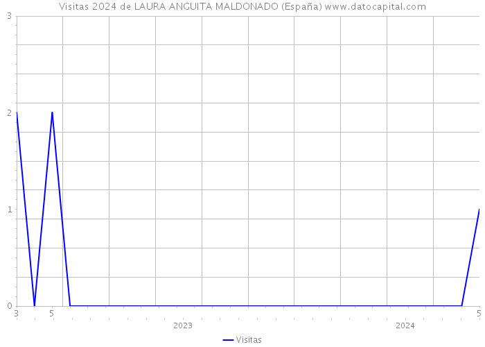 Visitas 2024 de LAURA ANGUITA MALDONADO (España) 