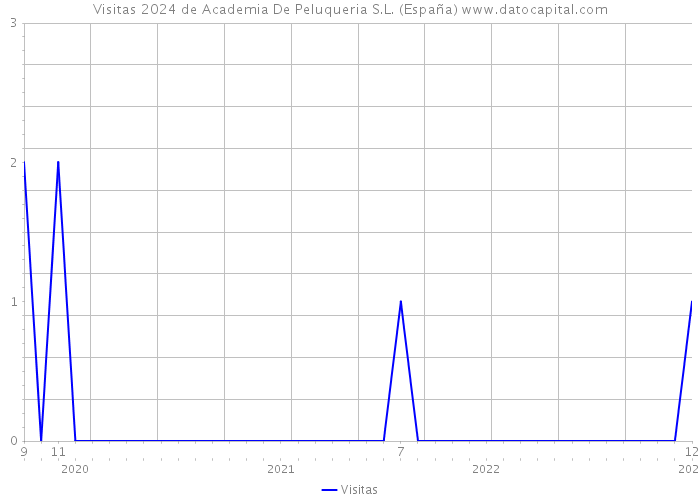 Visitas 2024 de Academia De Peluqueria S.L. (España) 
