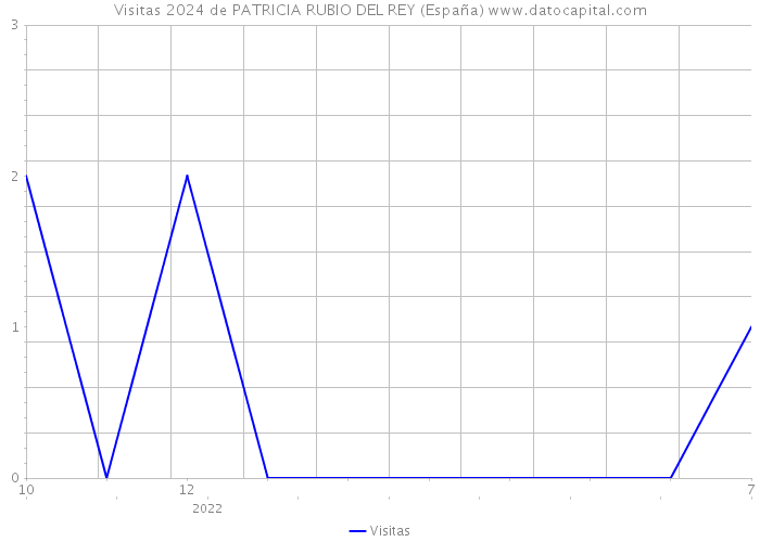 Visitas 2024 de PATRICIA RUBIO DEL REY (España) 