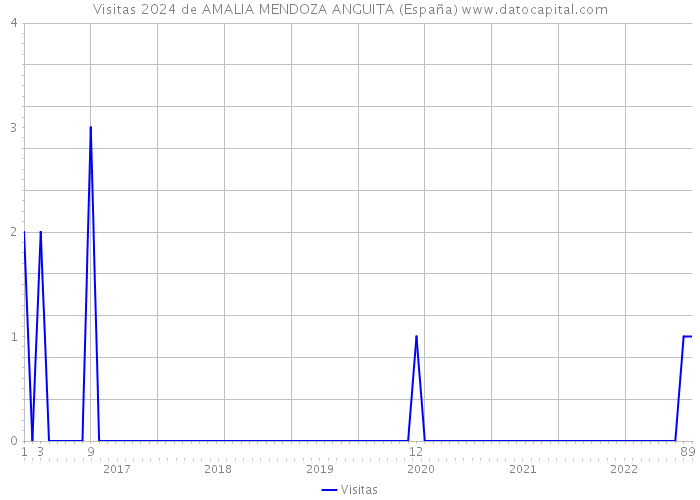 Visitas 2024 de AMALIA MENDOZA ANGUITA (España) 