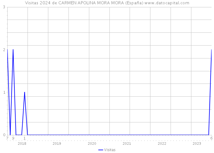 Visitas 2024 de CARMEN APOLINA MORA MORA (España) 