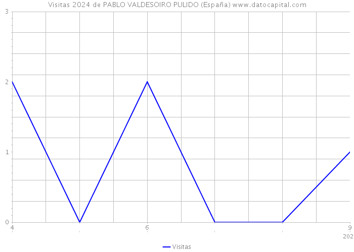 Visitas 2024 de PABLO VALDESOIRO PULIDO (España) 