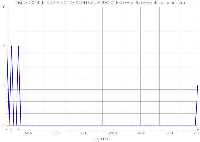 Visitas 2024 de MARIA CONCEPCION GALLARDO OTERO (España) 