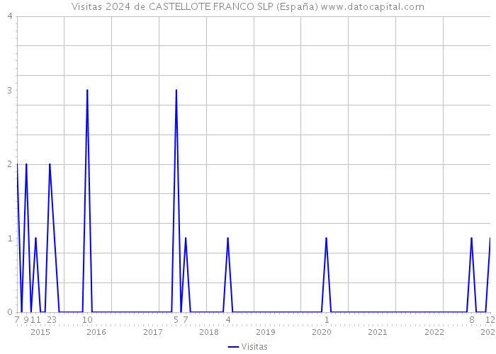 Visitas 2024 de CASTELLOTE FRANCO SLP (España) 