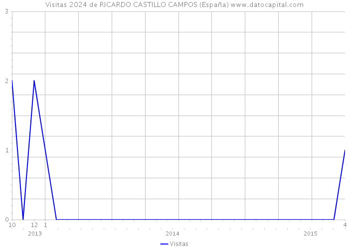 Visitas 2024 de RICARDO CASTILLO CAMPOS (España) 