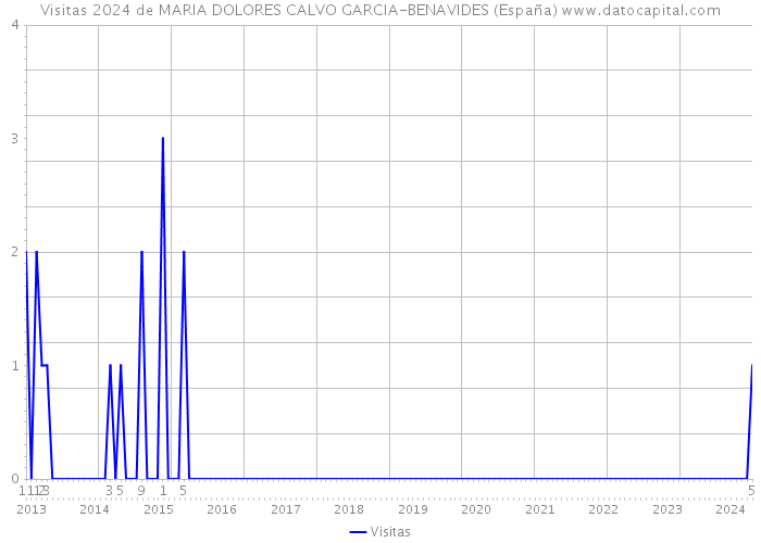 Visitas 2024 de MARIA DOLORES CALVO GARCIA-BENAVIDES (España) 