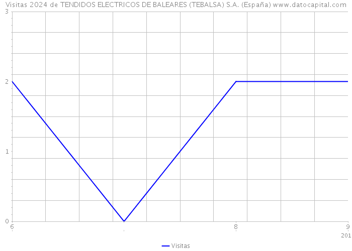 Visitas 2024 de TENDIDOS ELECTRICOS DE BALEARES (TEBALSA) S.A. (España) 