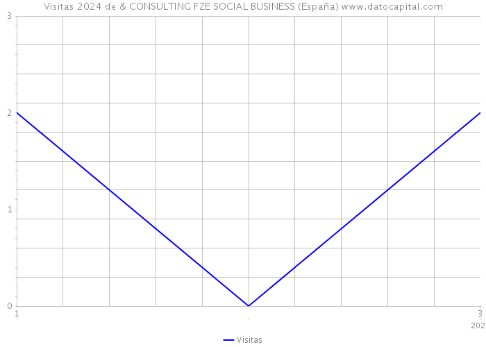 Visitas 2024 de & CONSULTING FZE SOCIAL BUSINESS (España) 