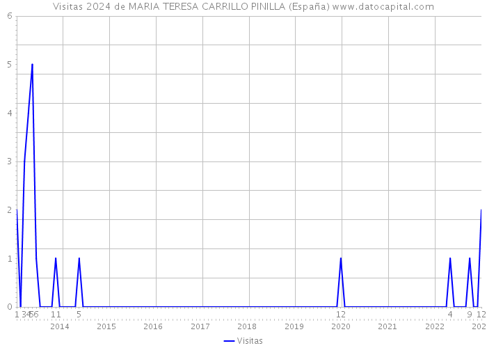 Visitas 2024 de MARIA TERESA CARRILLO PINILLA (España) 