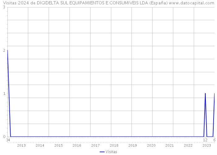 Visitas 2024 de DIGIDELTA SUL EQUIPAMIENTOS E CONSUMIVEIS LDA (España) 