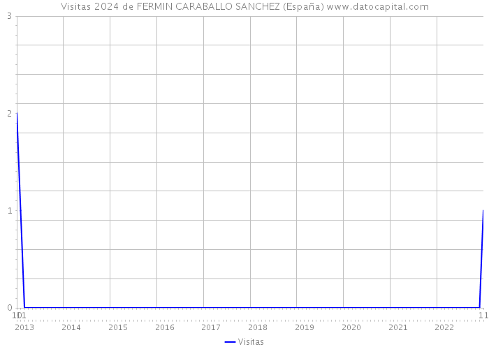 Visitas 2024 de FERMIN CARABALLO SANCHEZ (España) 