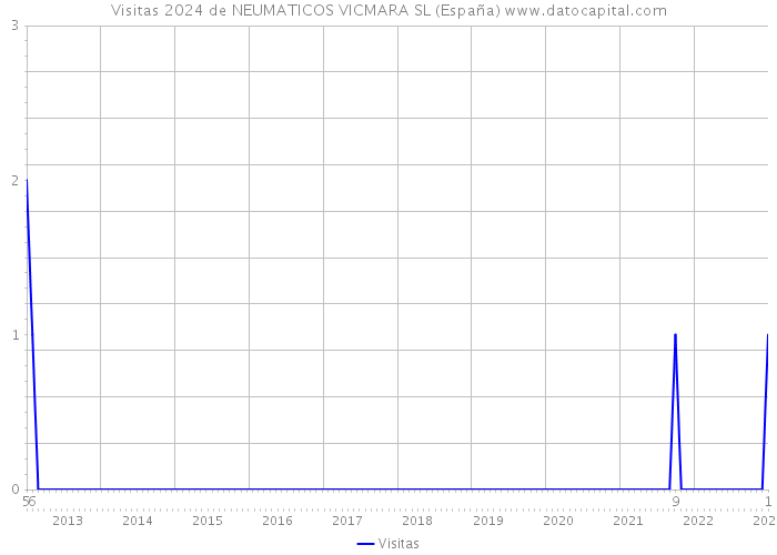 Visitas 2024 de NEUMATICOS VICMARA SL (España) 
