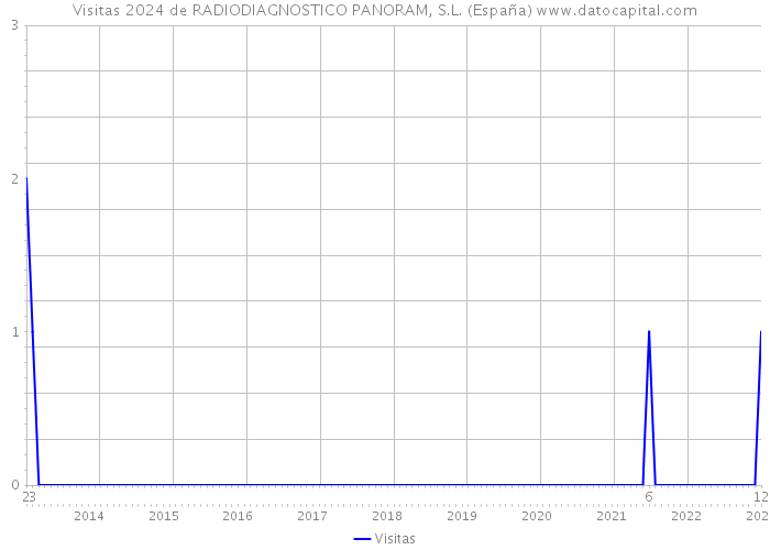 Visitas 2024 de RADIODIAGNOSTICO PANORAM, S.L. (España) 