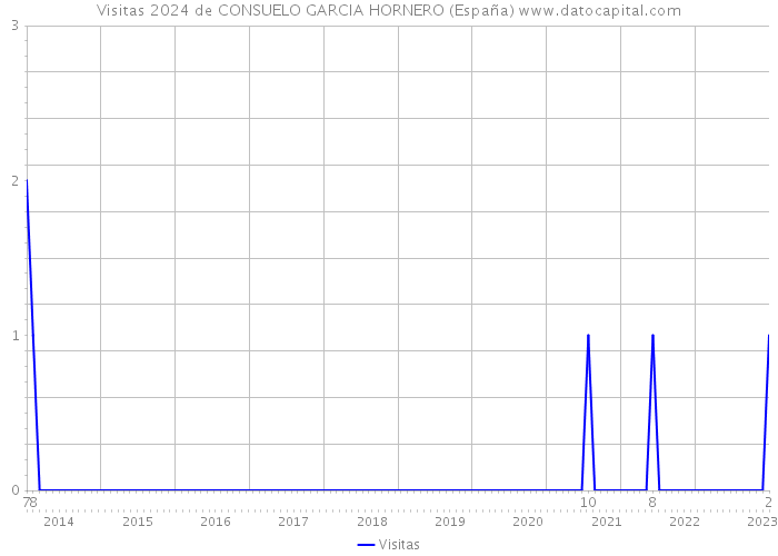 Visitas 2024 de CONSUELO GARCIA HORNERO (España) 