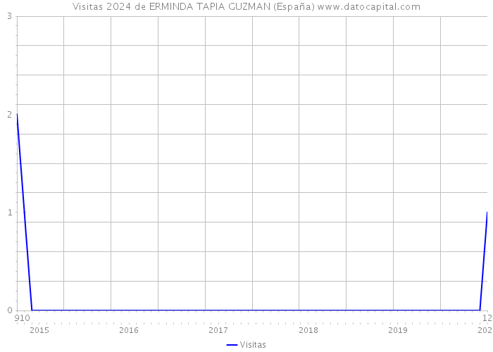 Visitas 2024 de ERMINDA TAPIA GUZMAN (España) 