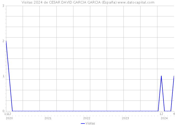 Visitas 2024 de CESAR DAVID GARCIA GARCIA (España) 