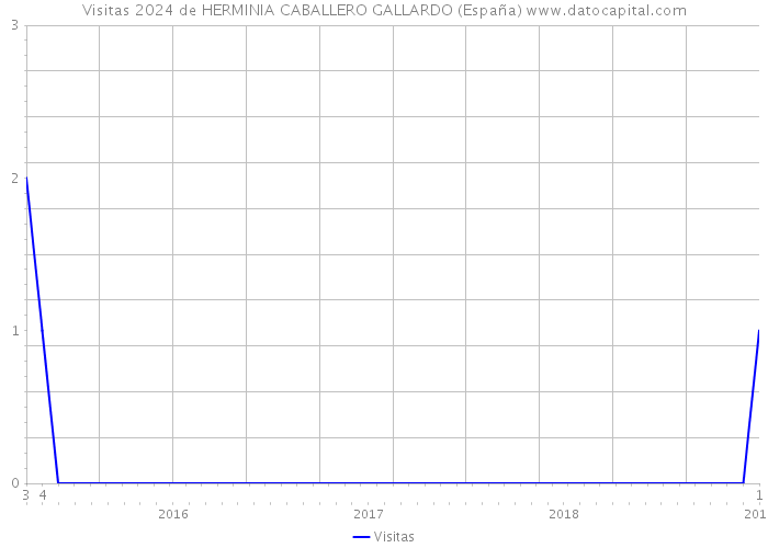 Visitas 2024 de HERMINIA CABALLERO GALLARDO (España) 