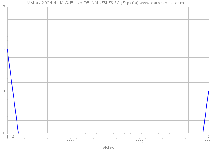 Visitas 2024 de MIGUELINA DE INMUEBLES SC (España) 