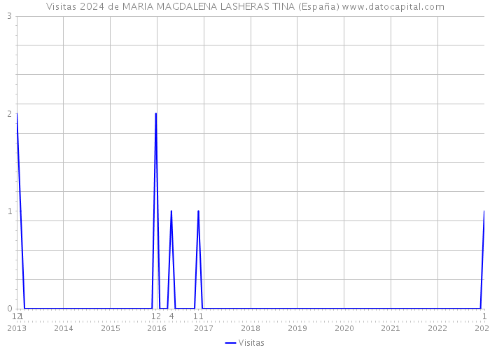Visitas 2024 de MARIA MAGDALENA LASHERAS TINA (España) 