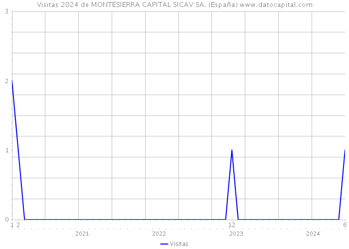 Visitas 2024 de MONTESIERRA CAPITAL SICAV SA. (España) 