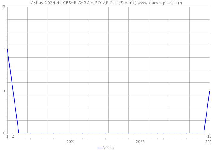 Visitas 2024 de CESAR GARCIA SOLAR SLU (España) 