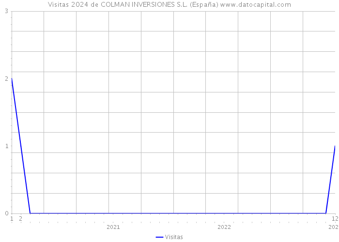 Visitas 2024 de COLMAN INVERSIONES S.L. (España) 
