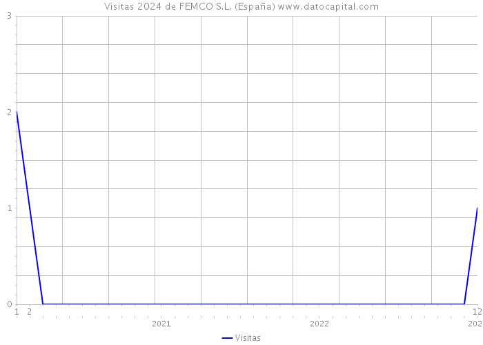 Visitas 2024 de FEMCO S.L. (España) 