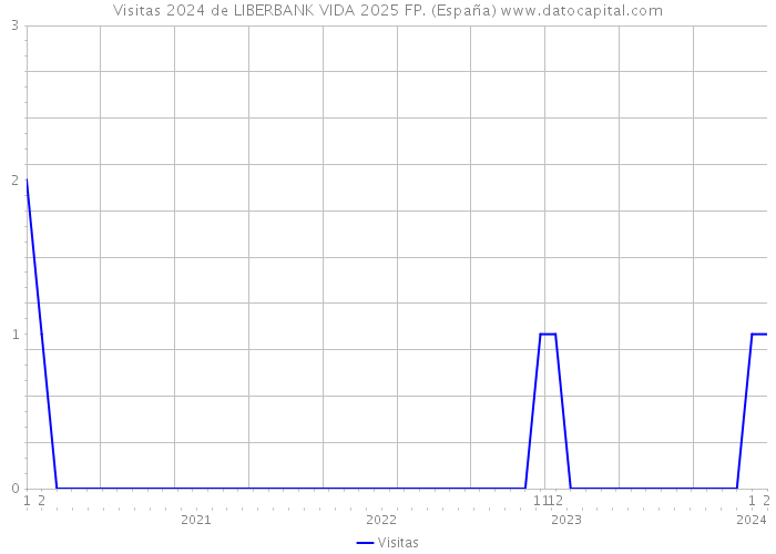 Visitas 2024 de LIBERBANK VIDA 2025 FP. (España) 