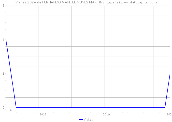 Visitas 2024 de FERNANDO MANUEL NUNES MARTINS (España) 
