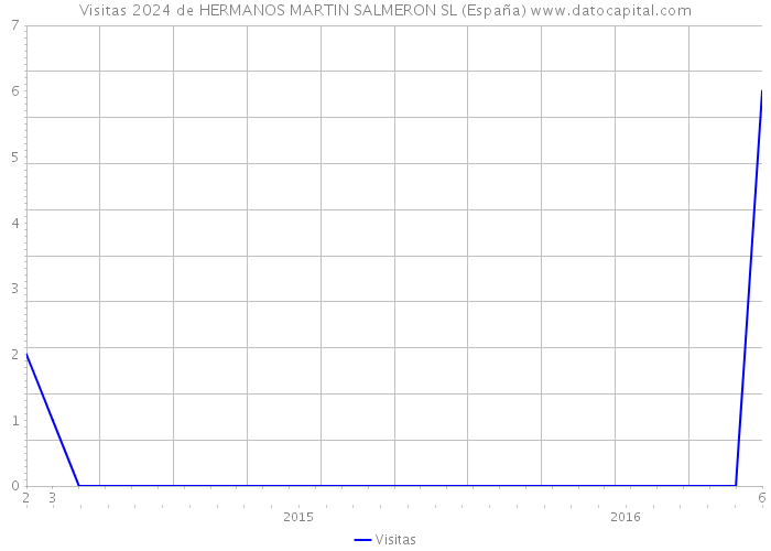 Visitas 2024 de HERMANOS MARTIN SALMERON SL (España) 