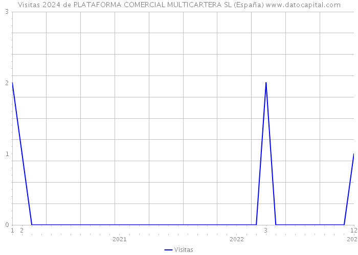 Visitas 2024 de PLATAFORMA COMERCIAL MULTICARTERA SL (España) 
