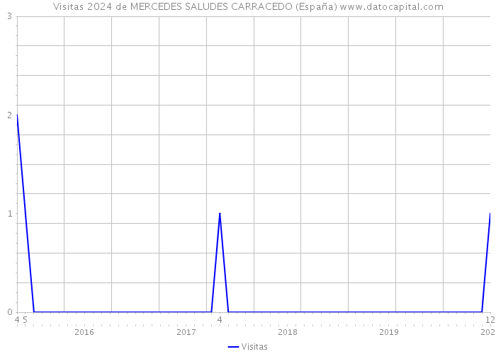 Visitas 2024 de MERCEDES SALUDES CARRACEDO (España) 